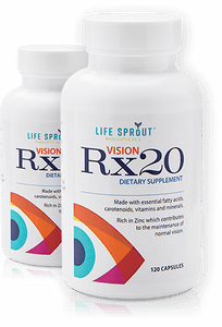 Vision RX 20